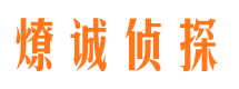 宿城侦探